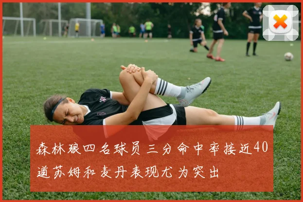 森林狼四名球员三分命中率接近40道苏姆和麦丹表现尤为突出